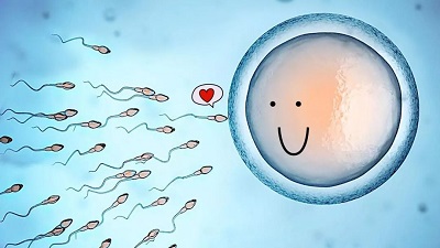 女性不能怀孕的原因有哪些(图1)